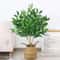Tall Artificial Eucalyptus Tropical Willow Foliage 2
