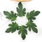 Premium Artificial Watermelon Leaf Accents 50Piece 0