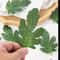 Premium Artificial Watermelon Leaf Accents 50Piece 5