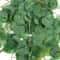 Lush Artificial Eucalyptus Tropical Hanging Vines 5