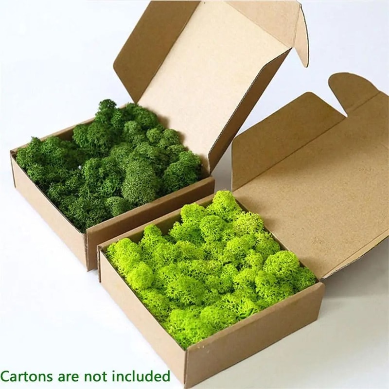 Eternal Life Simulation Moss For Creative Landscaping 1