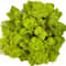 Premium NaturalEffect Reindeer Moss For Artisanal Decor 10