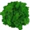 Premium NaturalEffect Reindeer Moss For Artisanal Decor 14