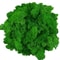 Premium NaturalEffect Reindeer Moss For Artisanal Decor 14