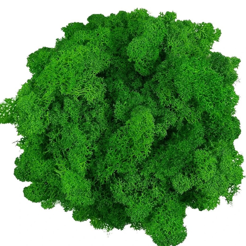 Premium NaturalEffect Reindeer Moss For Artisanal Decor 14