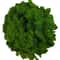 Premium NaturalEffect Reindeer Moss For Artisanal Decor 23
