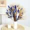70Stem Blue Rabbit Tail Dried Pampas Bouquet 2
