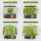 Eternal Life Simulation Moss Premium DIY Landscape Greenery 2