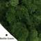 Eternal Life Simulation Moss Premium DIY Landscape Greenery 8