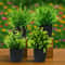 4Piece Artificial Miniature Potted Plant Set 6