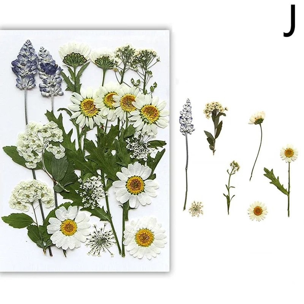 Natural Real Flower Resin Fillings HighDefinition Preserved Botanicals For Modern Jewelry Handicr 15