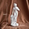 Venus Goddess Resin Statue HighDefinition Mythological Art For Modern Aesthetic Sanctuaries 6