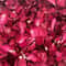 Natural Dried Rose Petals HighDefinition Organic Botanical Accents 4