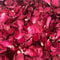 Natural Dried Rose Petals HighDefinition Organic Botanical Accents 4