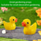 Mini Resin Ducks Set HighDefinition Tiny Figurine Architectural Accents 3
