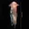 DIY Luminescent Jellyfish Lantern HighDefinition Aquatic Light Sculpture 1
