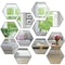 Hexagonal Mosaic Mirror Set HighDefinition Geometric Reflective Sculpture 0