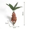 Mandrake Grass Resin Statue HighDefinition Mythological Botanical Sculpture 5