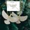 Peace Dove Ornament Set HighDefinition Avian Architectural Sculpture 0