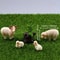 Miniature Sheep Family Set HighDefinition Pastoral Botanical Sculpture 2