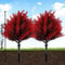 Red Lavender Botanical Stake HighDefinition Elemental Architectural Sculpture 4