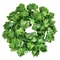 Botanical Ivy Garland HighDefinition Elemental Architectural Sculpture 6