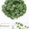 Botanical Ivy Garland HighDefinition Elemental Architectural Sculpture 8