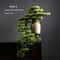 Arboreal Narrative Bonsai HighDefinition Elemental Architectural Sculpture 13