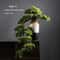 Arboreal Narrative Bonsai HighDefinition Elemental Architectural Sculpture 14