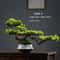 Arboreal Narrative Bonsai HighDefinition Elemental Architectural Sculpture 6