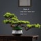Arboreal Narrative Bonsai HighDefinition Elemental Architectural Sculpture 6