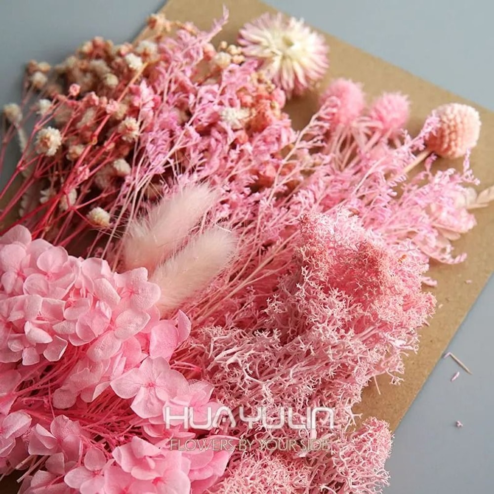 Botanical Narrative Elements HighDefinition Preserved Floral Materials 2