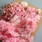 Botanical Narrative Elements HighDefinition Preserved Floral Materials 2