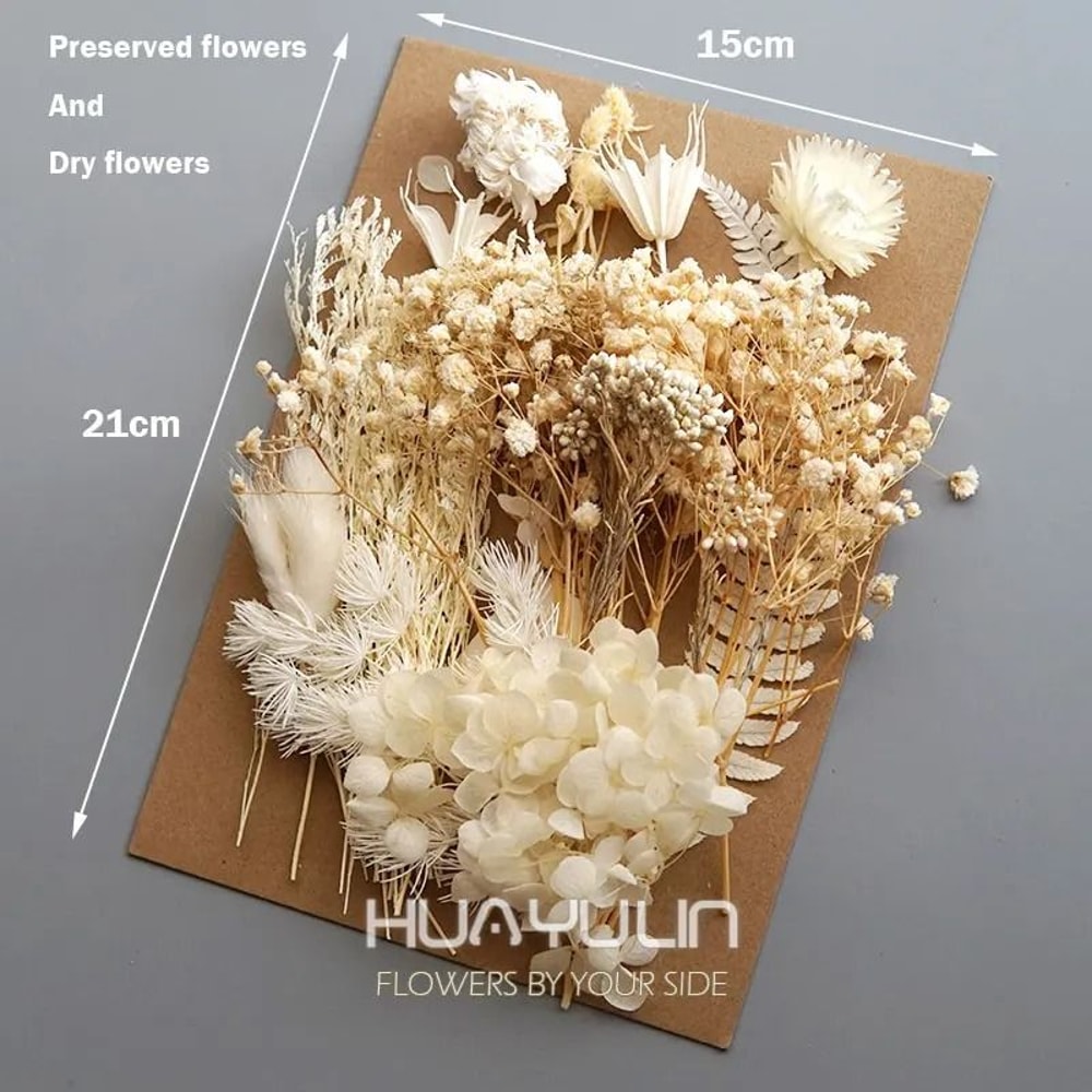 Botanical Narrative Elements HighDefinition Preserved Floral Materials 4