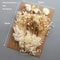 Botanical Narrative Elements HighDefinition Preserved Floral Materials 4