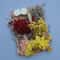 Botanical Narrative Elements HighDefinition Preserved Floral Materials 9