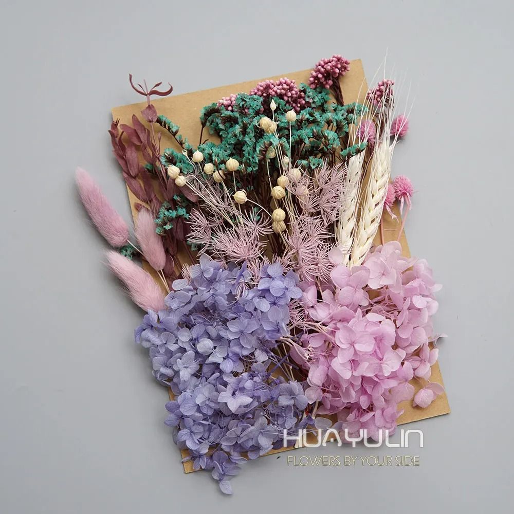 Botanical Narrative Elements HighDefinition Preserved Floral Materials 10