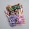 Botanical Narrative Elements HighDefinition Preserved Floral Materials 10