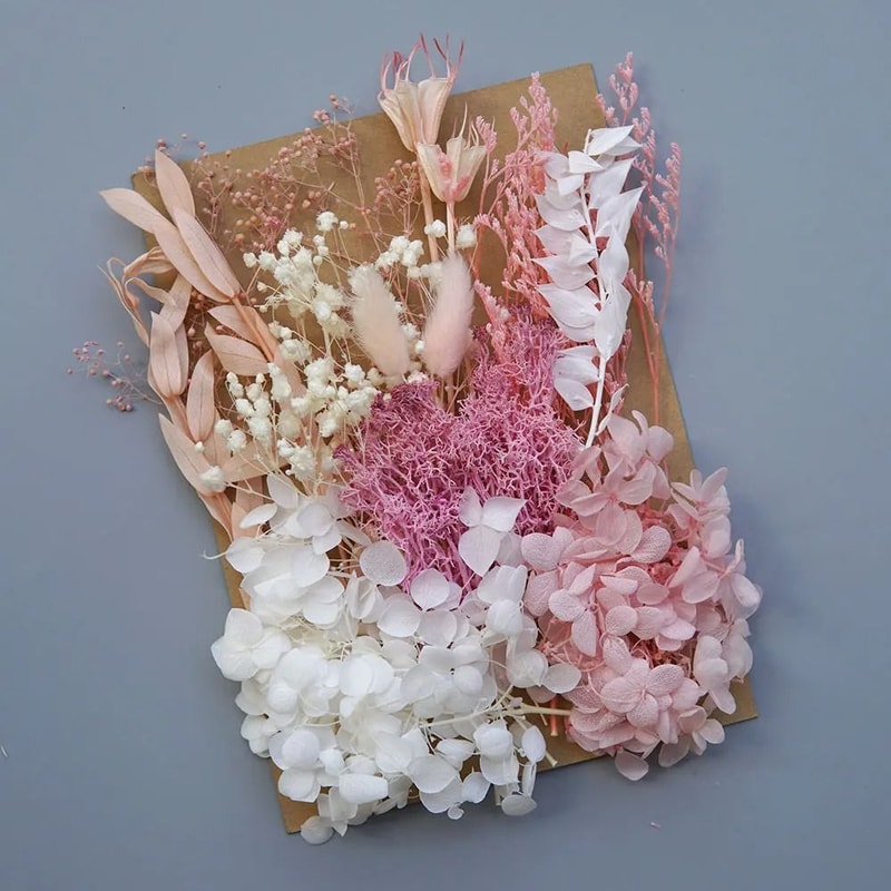 Botanical Narrative Elements HighDefinition Preserved Floral Materials 11