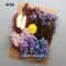 Botanical Narrative Elements HighDefinition Preserved Floral Materials 12