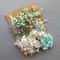 Botanical Narrative Elements HighDefinition Preserved Floral Materials 13