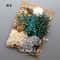Botanical Narrative Elements HighDefinition Preserved Floral Materials 14