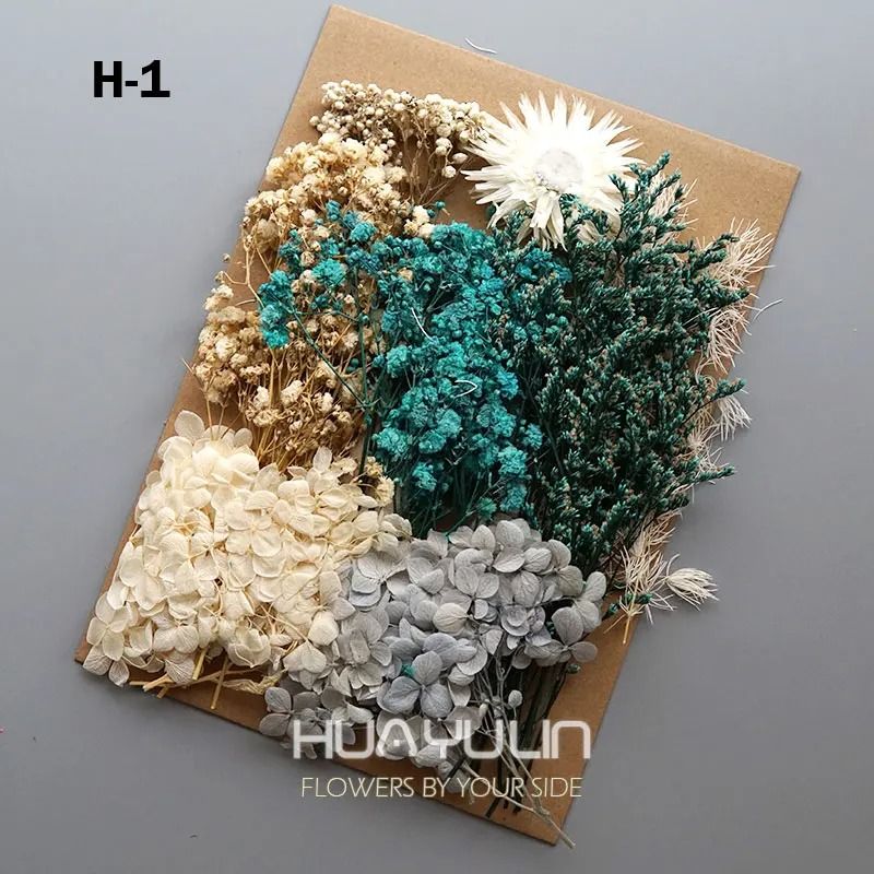 Botanical Narrative Elements HighDefinition Preserved Floral Materials 14