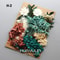 Botanical Narrative Elements HighDefinition Preserved Floral Materials 15