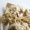 Botanical Narrative Elements HighDefinition Preserved Floral Materials 5