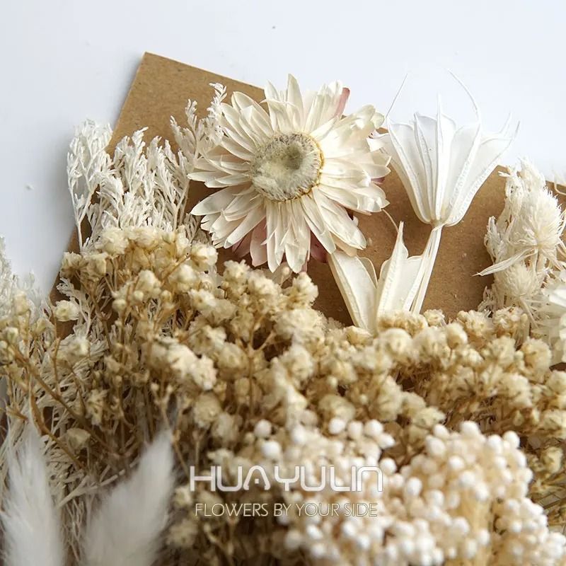 Botanical Narrative Elements HighDefinition Preserved Floral Materials 5