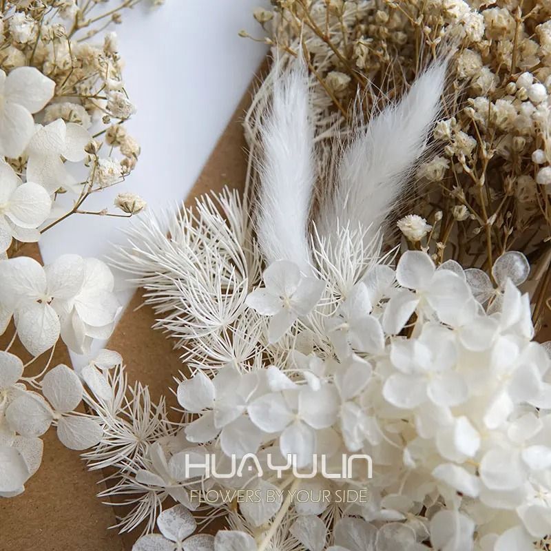 Botanical Narrative Elements HighDefinition Preserved Floral Materials 6