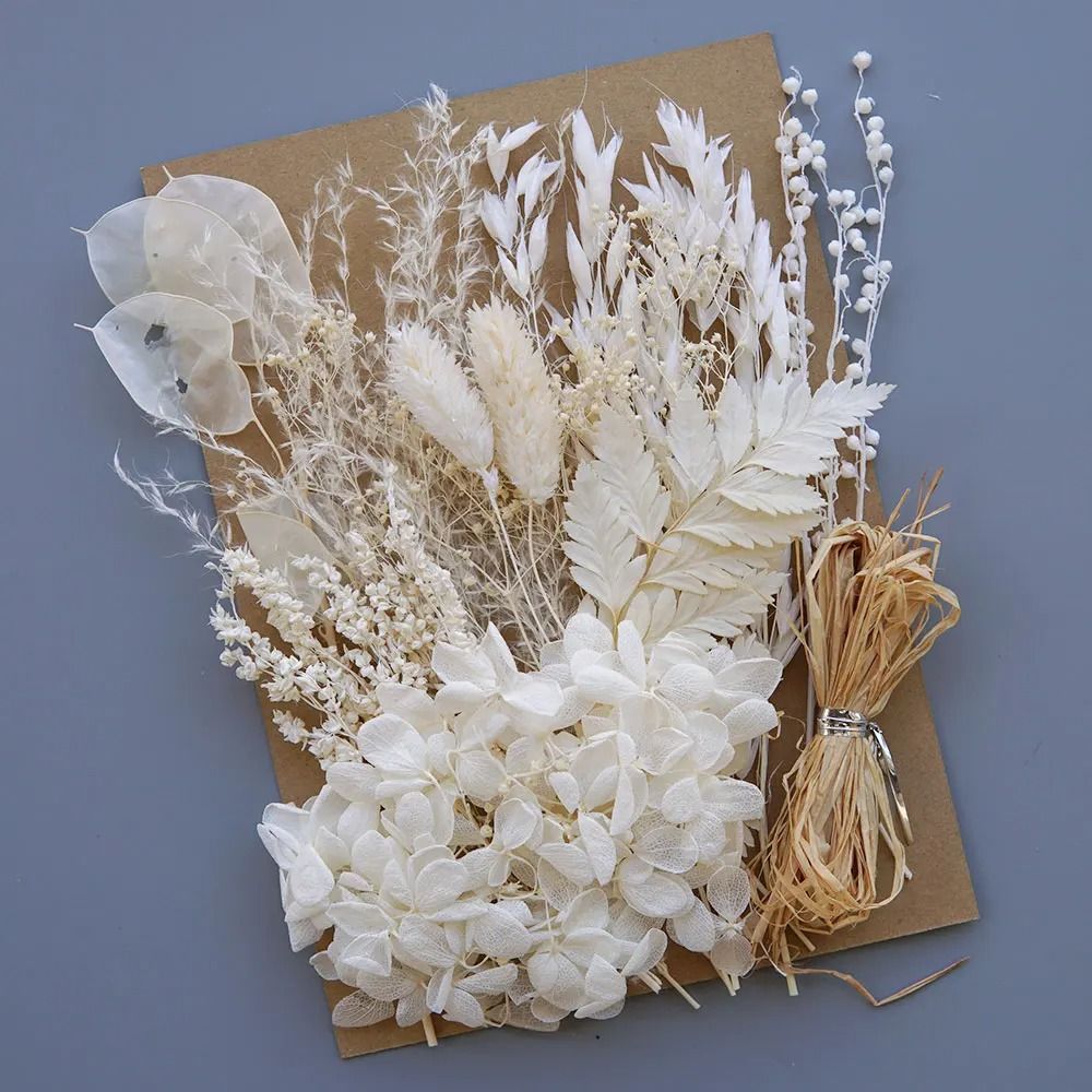 Botanical Narrative Elements HighDefinition Preserved Floral Materials 7