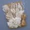 Botanical Narrative Elements HighDefinition Preserved Floral Materials 7