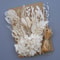 Botanical Narrative Elements HighDefinition Preserved Floral Materials 7